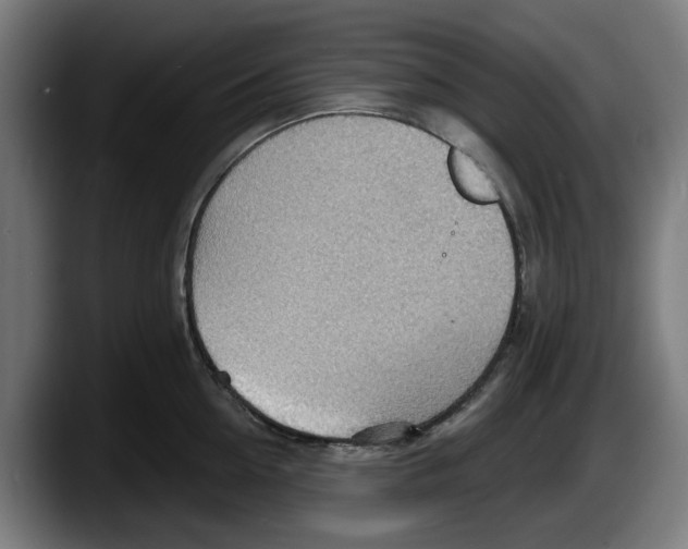 X0000087590954200705251859