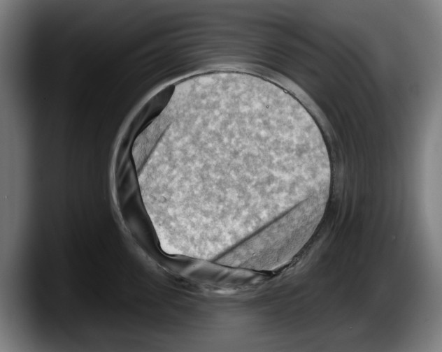 X0000087590955200705251859