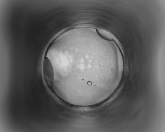 X0000087590957200705251859