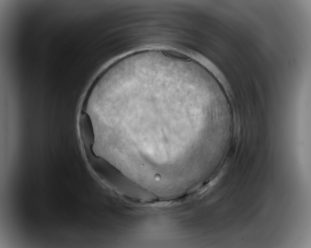 X0000087590958200705251859