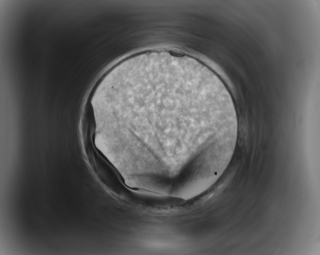 X0000087590959200705251859