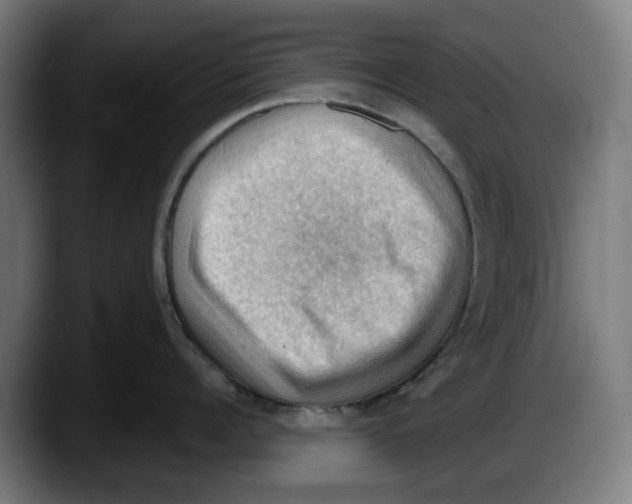 X0000087590960200705251859