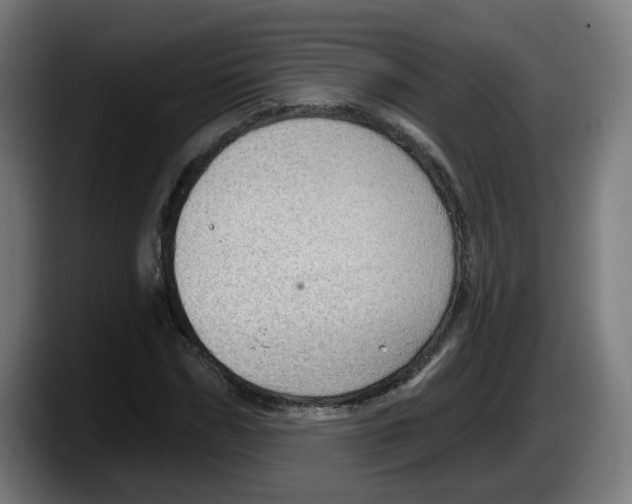 X0000087590970200705251858