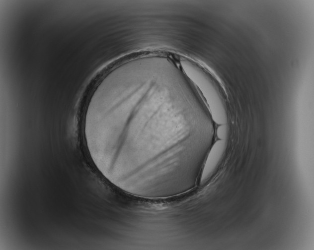 X0000087590975200705251858