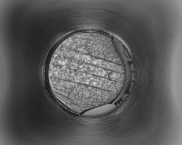 X0000087590983200705251858