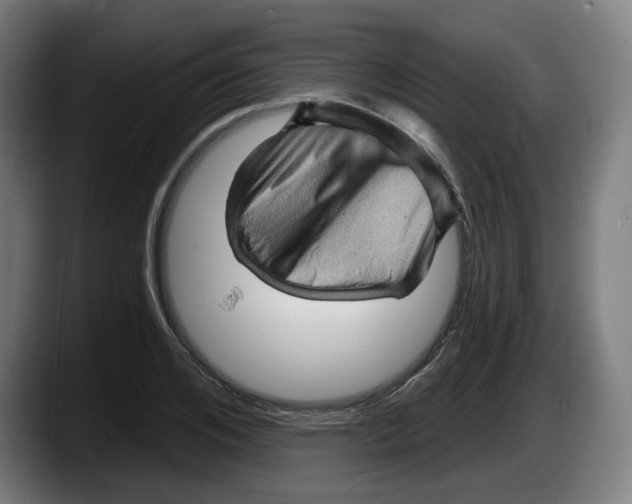 X0000087590984200705251858