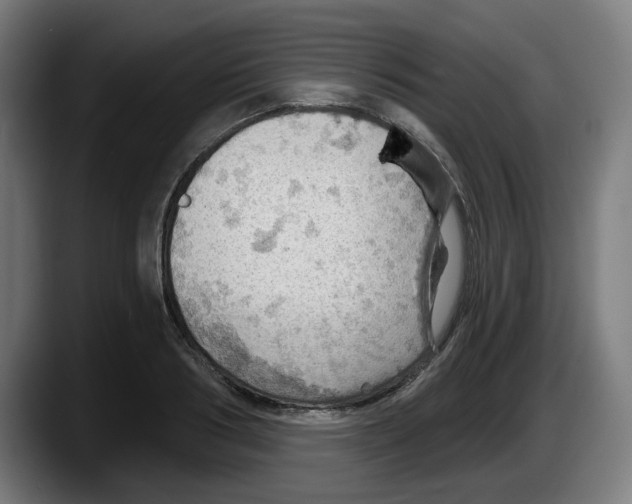 X0000087590986200705251858