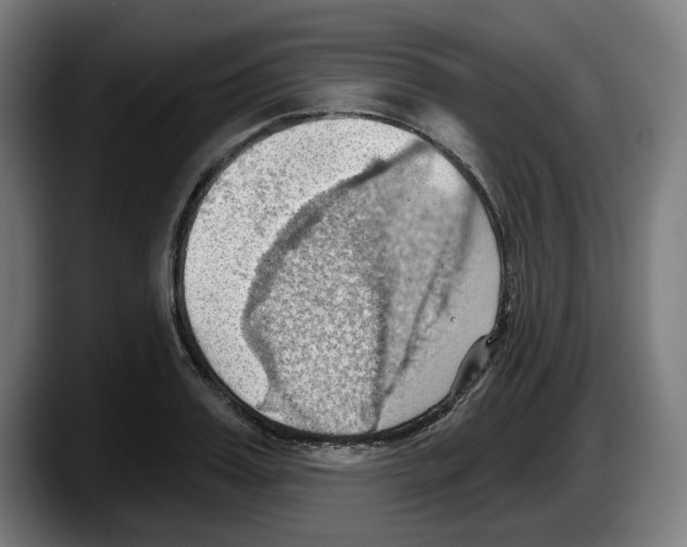 X0000087590987200705251858