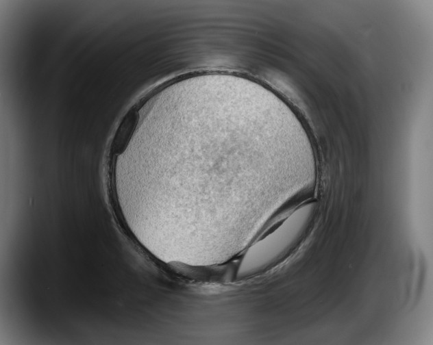 X0000087590989200705251858