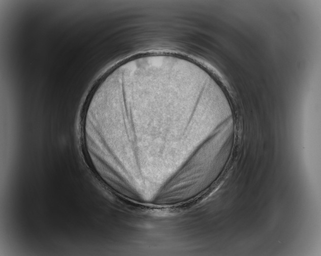 X0000087590990200705251858