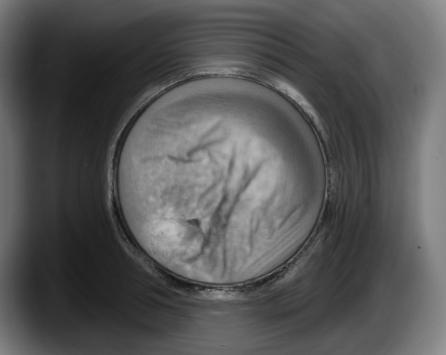 X0000087590994200705251858