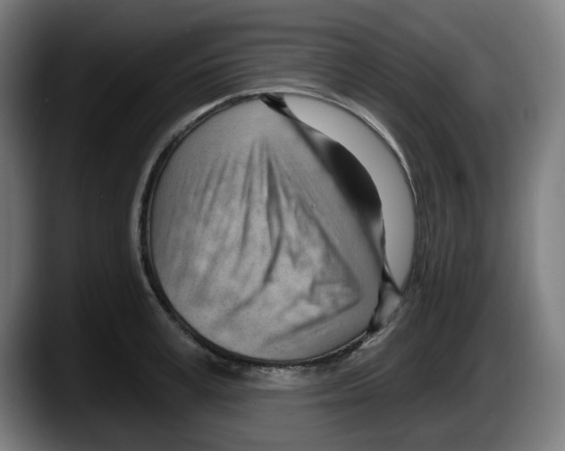 X0000087590995200705251858
