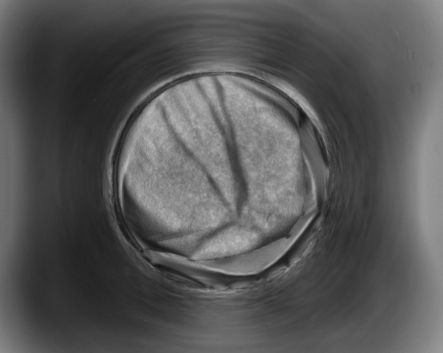 X0000087590996200705251858