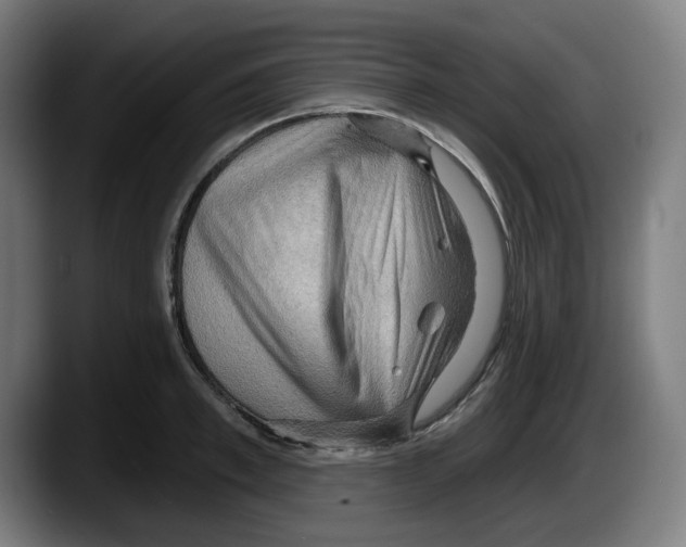 X0000087590997200705251858
