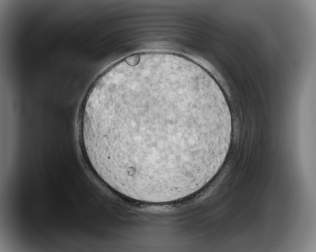 X0000087590998200705251858