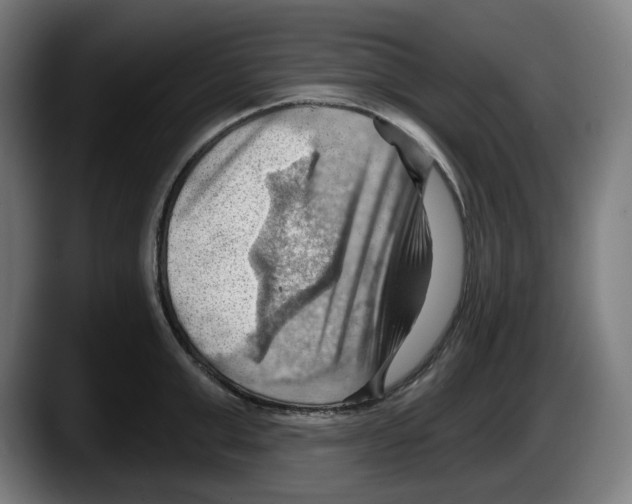 X0000087590999200705251858