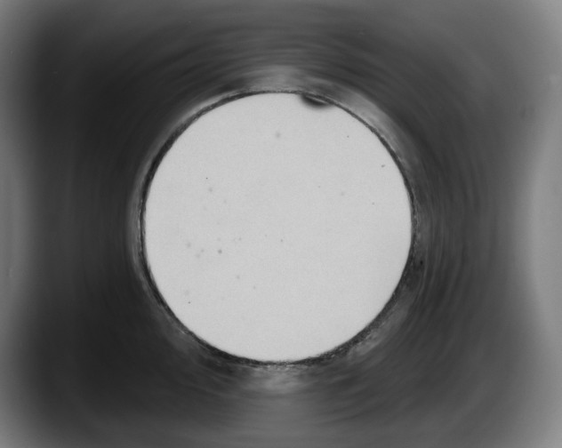 X0000087591000200705251858
