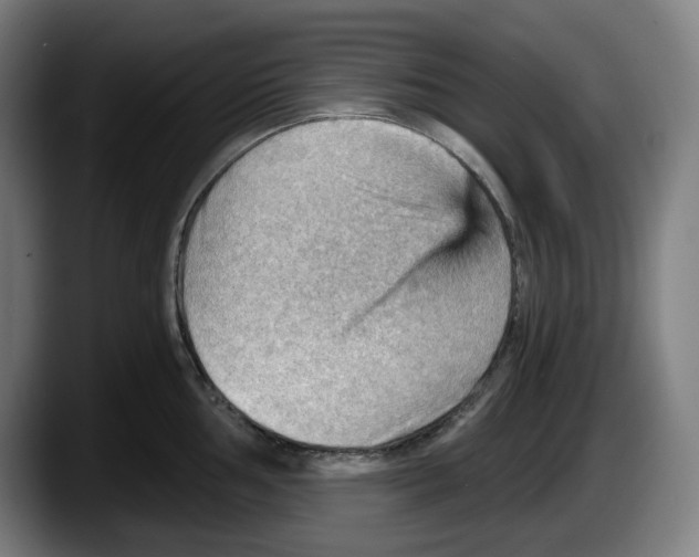 X0000087591002200705251858