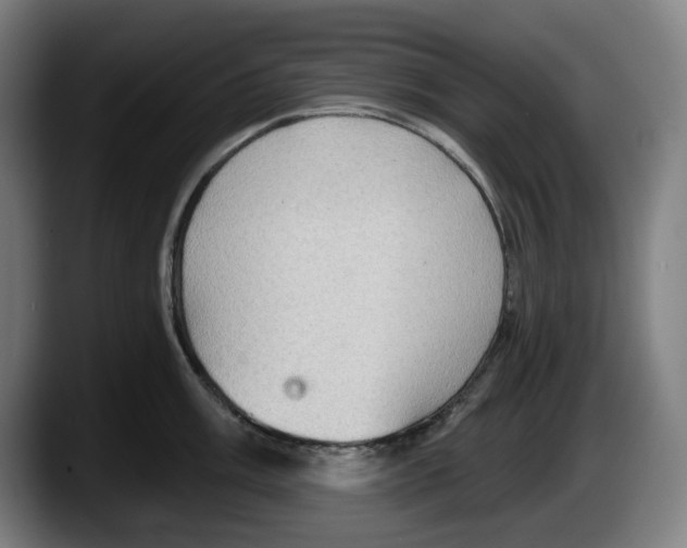 X0000087591003200705251857