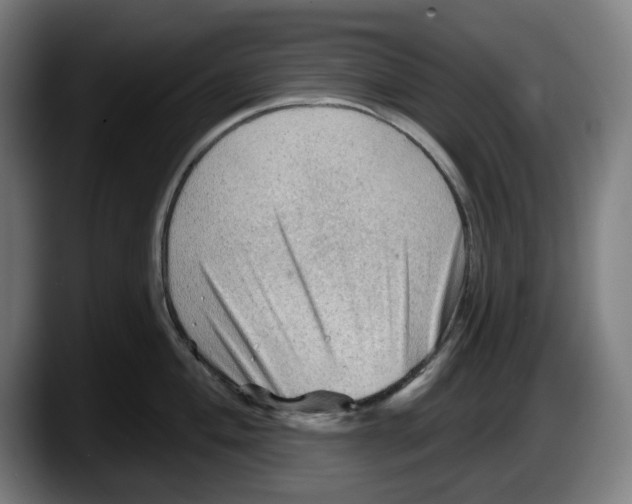 X0000087591004200705251857