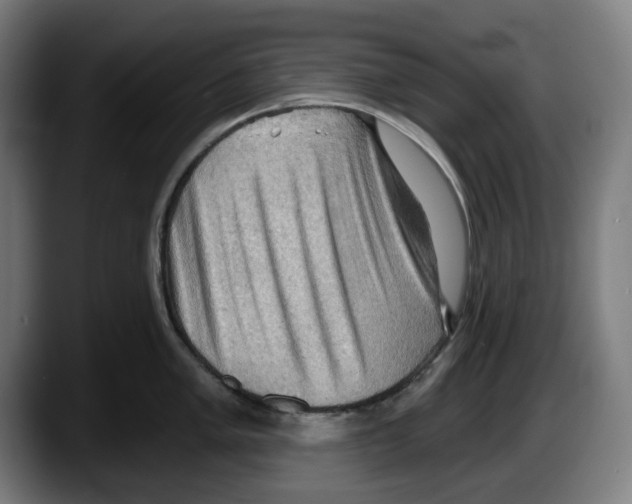 X0000087591005200705251857