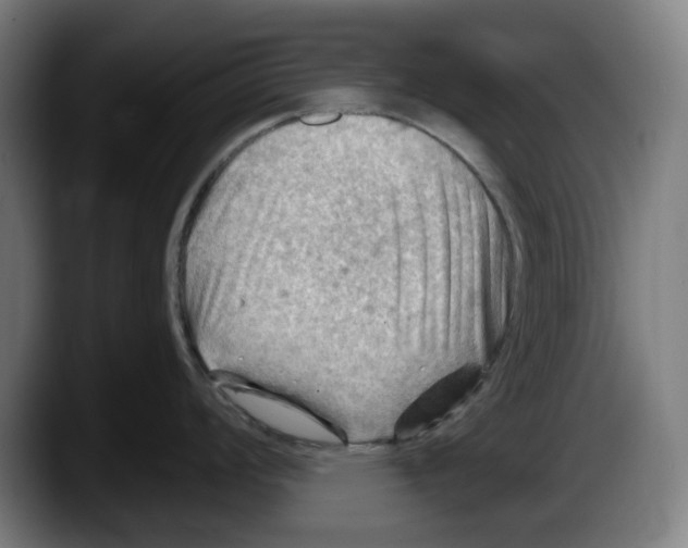 X0000087591008200705251857