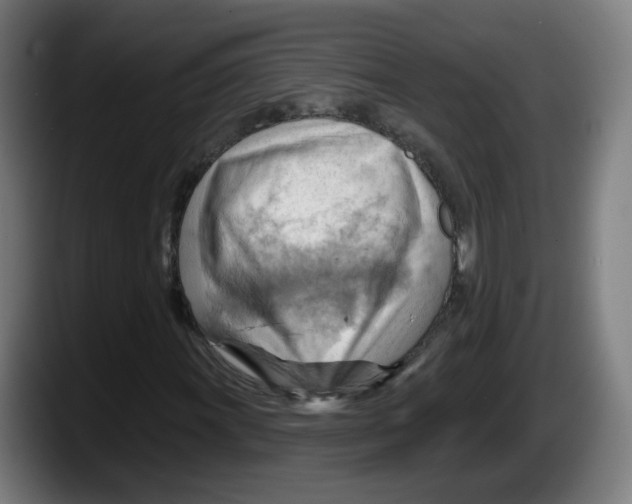 X0000087591011200705251857