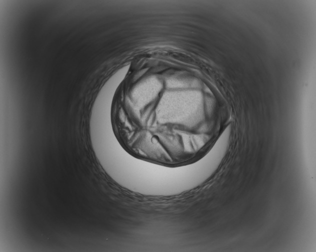 X0000087591014200705251857