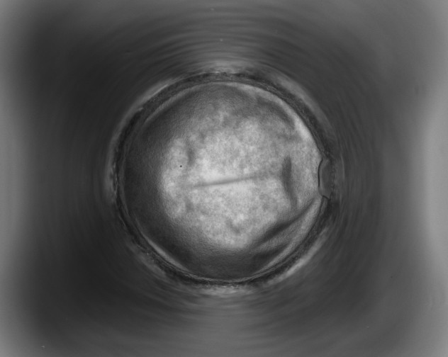 X0000087591018200705251857