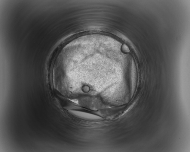 X0000087591019200705251857