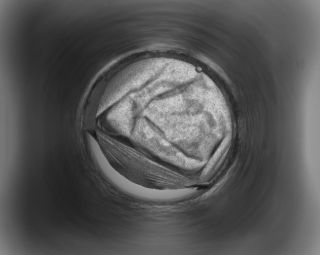 X0000087591021200705251857