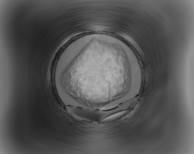 X0000087591023200705251857