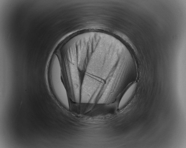 X0000087591024200705251857