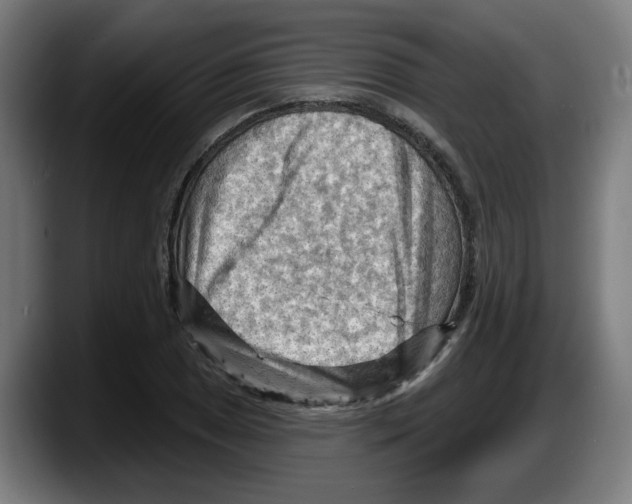 X0000087591025200705251857