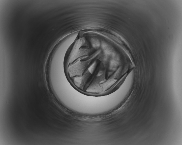 X0000087591026200705251857