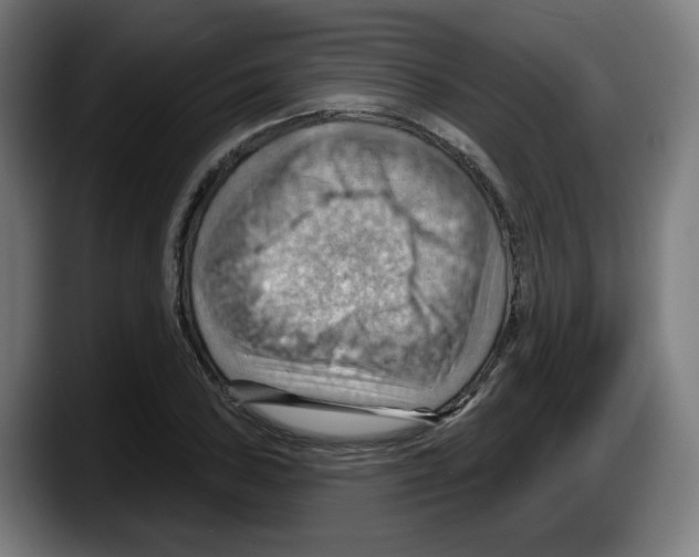 X0000087591027200705251857