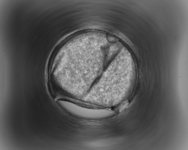 X0000087591028200705251857