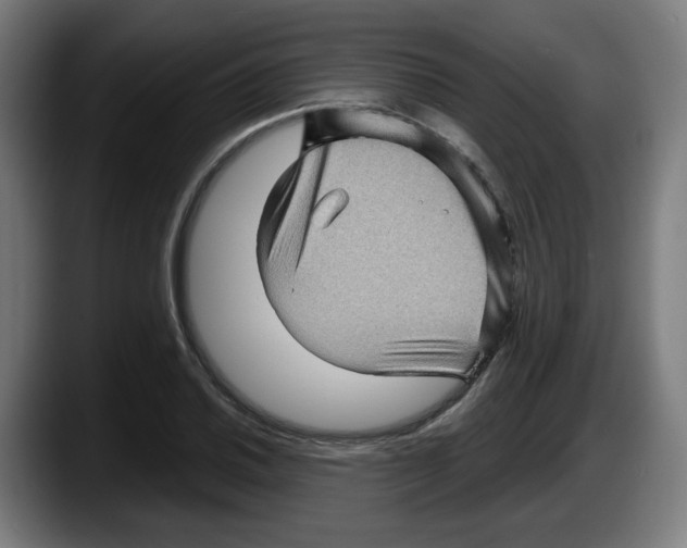 X0000087591030200705251857