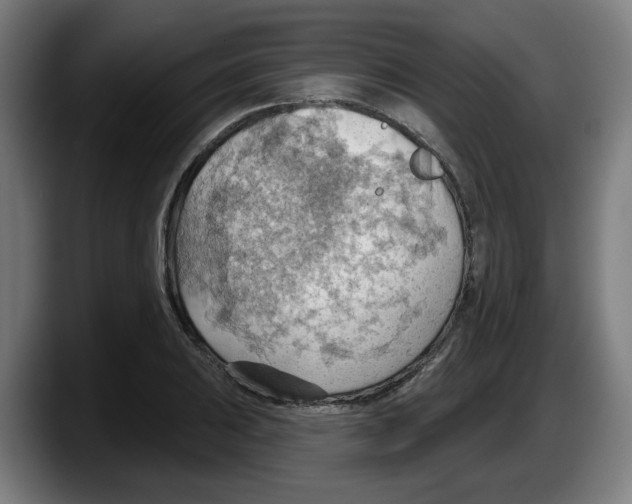 X0000087591031200705251857