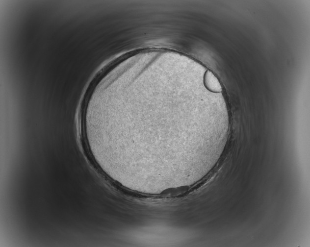 X0000087591032200705251857