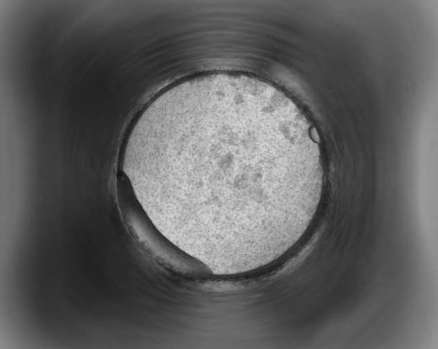 X0000087591033200705251857