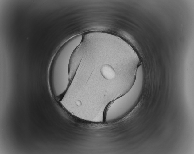 X0000087591034200705251857