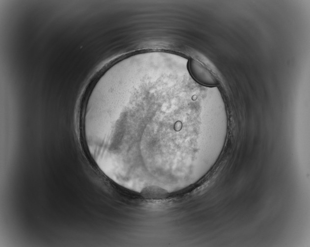 X0000087591035200705251857