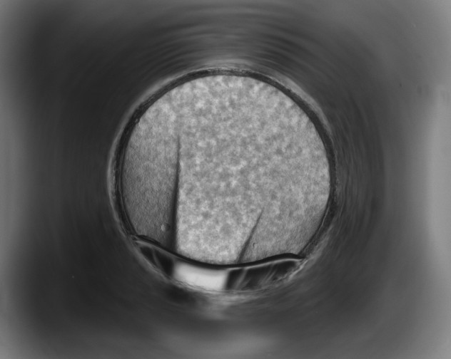 X0000087591037200705251857