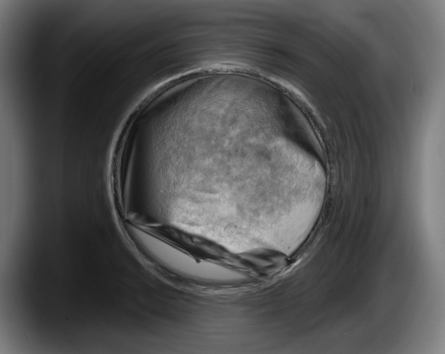 X0000087591038200705251857