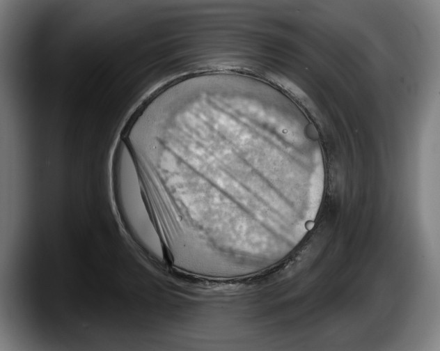 X0000087591039200705251857