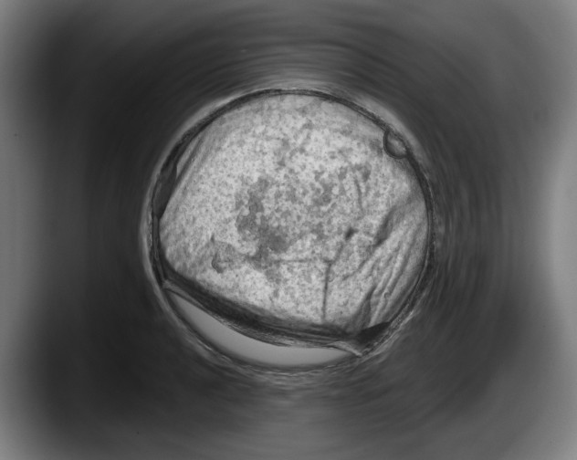 X0000087591040200705251857