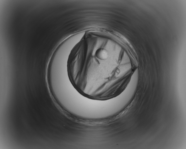 X0000087591042200705251857