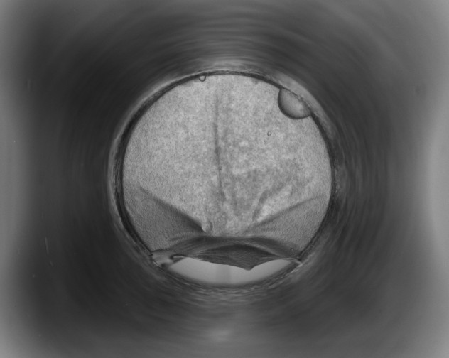 X0000087591043200705251857