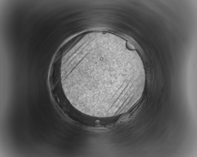 X0000087591044200705251857